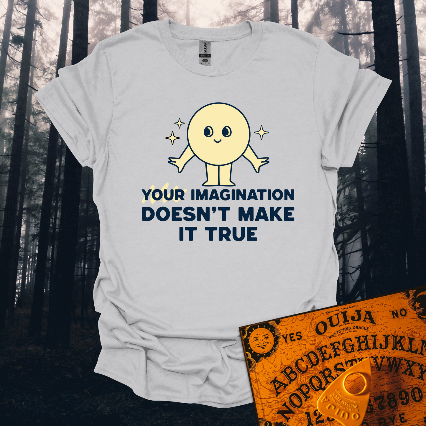 Your Imagination Doesn't Make it True T-Shirt